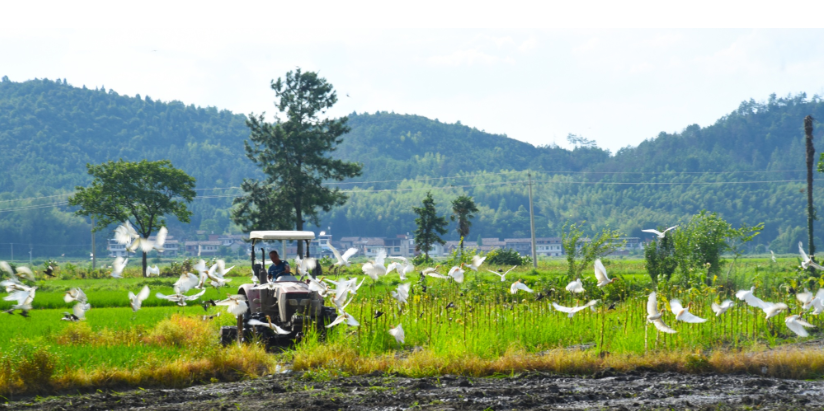 微信圖片_20240919155719.png 微信圖片_20240919155719.png